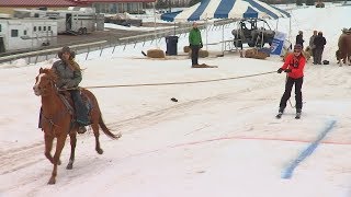 Extreme horse skijoring comes to Canterbury Park [upl. by Eliades]