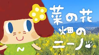 「菜の花畑のニーノ」〜二宮町においでよ！〜《東京ハイジ》 [upl. by Kaleena6]