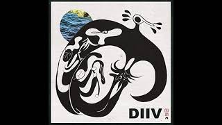 DIIV  Doused Bass Cover [upl. by Sigrid]