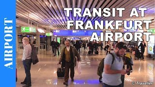 TRANSIT WALK AT FRANKFURT Airport FRA Terminal 1  Connection Flight Transfer Arriving amp Departing [upl. by Aztilay]