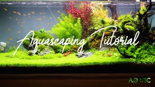 Step by Step Aquascaping Tutorial 200L [upl. by Dodd98]