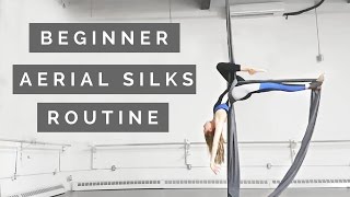 Aerial Silks Beginner Choreography to Winter Song [upl. by Atnaloj]