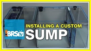 Week 3 Sumps  What do they do and which should you select  52 Weeks of Reefing [upl. by Zalea]