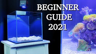 No money no problem  REEF TANK BASICS  quothow to start a saltwater aquariumquot BEGINNER GUIDE 2021 [upl. by Arinay]